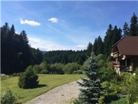 dd777627-20160803 VV.jpg